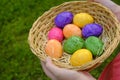 Easter Egg Hunt. Easter eggs set in a basket in children& x27;s hands on green grass background. Collecting eggs. Religious