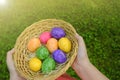 Easter Egg Hunt. Easter eggs set in a basket in children& x27;s hands on green grass background. Collecting eggs. Religious