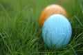 Easter egg hunt.Easter holiday. Searching for Easter eggs in the grass. Blue and orange Easter painted egg in green