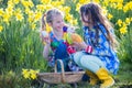 Easter Egg Hunt Teamwork Royalty Free Stock Photo