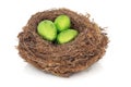 Easter Egg Nest Royalty Free Stock Photo