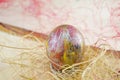 Easter egg in a nest Royalty Free Stock Photo