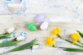 Easter egg in nest with spring flowers on old white painted wooden background Royalty Free Stock Photo