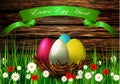 Easter egg nest with Wood texture Royalty Free Stock Photo