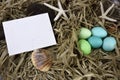 Easter Egg Note Card Royalty Free Stock Photo