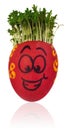 Easter egg painted in a funny smiley guy face and colored in red Royalty Free Stock Photo