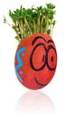 Easter egg painted in a funny smiley guy face and colored in red Royalty Free Stock Photo