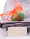 Easter egg with ribbo nand a card Royalty Free Stock Photo