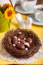 Easter Egg Shaped Chocolate Candies in a Nest