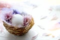 Easter egg in the small nest with feathers and flower petals on a light background. Painted quail eggs. Copy space. The Royalty Free Stock Photo