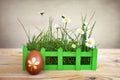 Easter egg and spring flowers Royalty Free Stock Photo