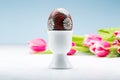 Easter egg on a stand Royalty Free Stock Photo