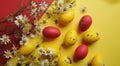 easter egg stock video and royaltyfree footage Royalty Free Stock Photo