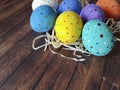 Easter egg straw wooden season vintage Royalty Free Stock Photo