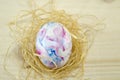 Easter egg on a thatch Royalty Free Stock Photo