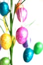 Easter Egg Tree Royalty Free Stock Photo