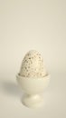 Easter egg on white background. Easter concept. 3d render illustration Royalty Free Stock Photo