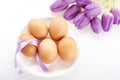 Easter eggs Royalty Free Stock Photo