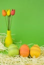 Easter eggs Royalty Free Stock Photo