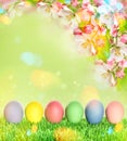 Easter eggs with apple tree blossoms green grass Royalty Free Stock Photo