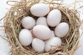 Easter eggs background. holiday, easter background. fresh eggs on the Straw floor.Eggs on a nest Royalty Free Stock Photo