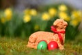 Easter eggs and a baked Easter lamb in a meadow