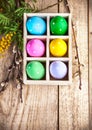 Easter eggs in basket and branch mimosa Royalty Free Stock Photo