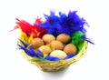 Easter eggs in a basket with colorful feathers Royalty Free Stock Photo
