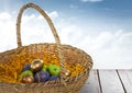 Easter eggs in basket in front of blue sky Royalty Free Stock Photo