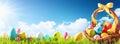 Easter Eggs in a Basket on Green Grass Royalty Free Stock Photo