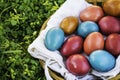 Easter eggs in a basket in green grass, empty copy space