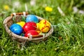 Easter eggs in basket on green grass. Royalty Free Stock Photo