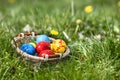 Easter eggs in basket on green grass Royalty Free Stock Photo