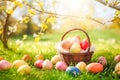 Easter eggs in basket on green grass at sunny day Royalty Free Stock Photo