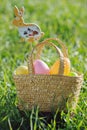 Easter eggs in a basket with rabbit decorations Royalty Free Stock Photo