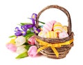 Easter eggs in a basket and spring flowers