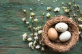 Easter eggs in a basket of straw Royalty Free Stock Photo