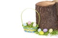 Easter eggs and basket by tree stump Royalty Free Stock Photo