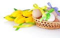 Easter eggs in the basket and yellow tulips isolated on a white Royalty Free Stock Photo