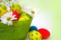 Easter eggs, baskets and flowers Royalty Free Stock Photo