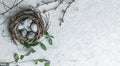 Easter eggs in bird nest with feather and spring flowers on white background. Happy Easter holiday, top view, flat lay Royalty Free Stock Photo