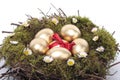 Easter eggs in bird nest over white Royalty Free Stock Photo