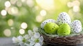 Easter eggs in bird nest on soft green background, with copy space Royalty Free Stock Photo