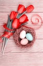 Easter Eggs in a birds nest with colorful tulips Royalty Free Stock Photo