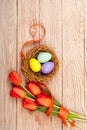Easter Eggs in a birds nest with colorful tulips Royalty Free Stock Photo