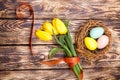 Easter Eggs in a birds nest with colorful tulips Royalty Free Stock Photo