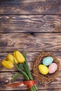 Easter Eggs in a birds nest with colorful tulips Royalty Free Stock Photo