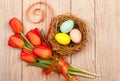 Easter Eggs in a birds nest with colorful tulips Royalty Free Stock Photo