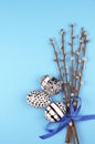 Easter eggs with a black and white graphic pattern, pussy willow branches tied with a ribbon on a blue background Royalty Free Stock Photo