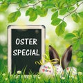 Easter Eggs Blackboard Hare Ears Beech Oster Special Royalty Free Stock Photo